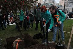 В Москве начинается масштабное озеленение по программе «Моя улица»