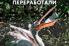 Сортируйте отходы, чтобы их переработали
