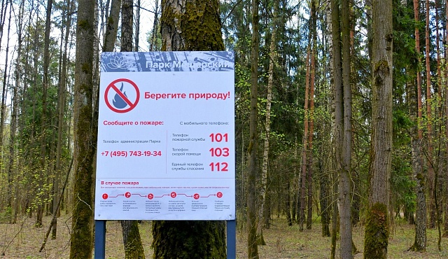 Берегите лес: простые действия ради безопасности