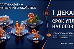 1 декабря - срок уплаты налогов